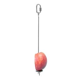 Papagaio aço inoxidável garfo de frutas milho maçã garfo brinquedo gaiola de pássaro suprimentos pássaro inserção de frutas alimentador para animais estimação papagaio acessórios - Image 6
