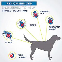 Coleira antiparasitária para animais de estimação, carrapatos antipulgas, proteção de 8 meses, coleiras retráteis para cachorro, gato, suprimentos para cães grandes, novo, 38 cm, 70cm - Image 3