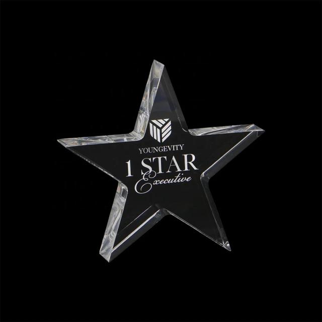Monumento de Medalha Personalizada em Acrílico com Logotipo e Design Exclusivo para Troféus e Sinalização de Mesa