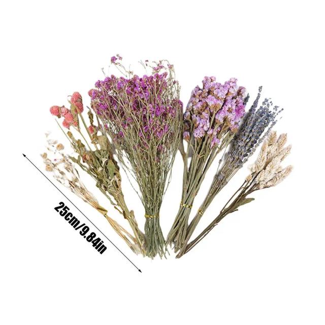 Decoração Floral Natural para Camas de Animais de Estimação, Suprimentos para Hamsters, Gerbils e Coelhos