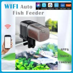 Ilona WiFi Alimentador De Peixe Dispositivo De Alimentação Automática Controle Inteligente Para Tanque De Aquário, Timing Carpa, Acessórios De Equipamento De Pesca - Image 1