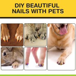 Quick Dry Dog unha polonês caneta, 12 cores, Pet unha polonês para criar unhas bonitas, Girl Pets Grooming, fácil de usar - Image 6