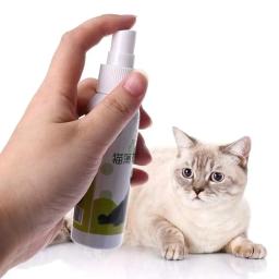 Cat Catnip Spray saudável ingredientes, gatinhos hortelã, Pet Toy, saudável, engraçado, suprimentos naturais, gatos arranhando, gatinho, A6P2, 1 pc - Image 6