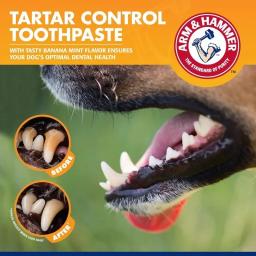 Pet Limpeza Kit Ferramentas, Dog Gum Care Products Kit, Reduz Placa e Tártaro Builder, Creme Dental Universal, Conjunto Escova - Image 5