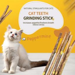 Pure Natural Catnip Pet Creme Dental Brinquedo, Cat Snacks Sticks, segurança ramo molar, limpeza dos dentes, auto-cura, suprimentos quentes - Image 4