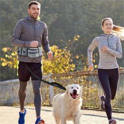 Bolsa para tratamento cães, bolsa para treinamento ar livre, exercício para animais estimação, caminhada, com cocô, - Image 3