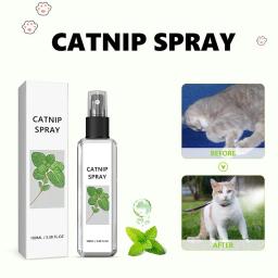 Herbal Cat Joy Catnip Spray, Mysterious Cat Joy, Aipo Animais De Estimação, 1Pc, 3pcs - Image 4