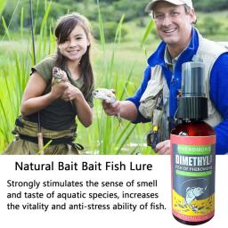 Peixe Lure Agent, Cheiro de peixe, Pheromone Food Attractant, Rio selvagem Pesca Carpa Crucian, Arenque atração Spray - Image 6