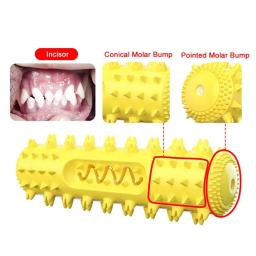 Escova de dentes molar para cão, mastigar brinquedo, macio e durável, limpeza dos dentes, para cachorro, atendimento odontológico, pet fornecimentos - Image 4
