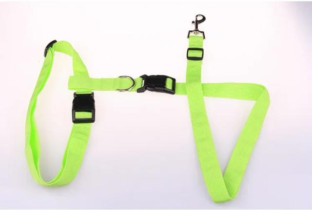 Guia Ajustável para Pets com Cinta de Cintura e Peitoral para Cães e Gatos - Ideal para Corridas e Caminhadas, 1 Peça Grátis