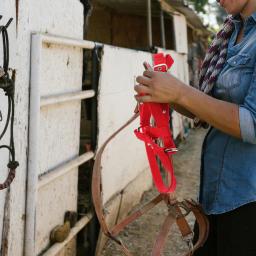 Crianças treinamento equestre ajustável engrossado cavalo halter equipamento macio webbing durável náilon versátil - Image 5