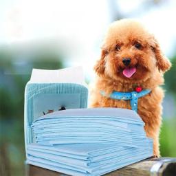 Tapete de Fraldas Descartáveis para Animais de Estimação, Absorver, Tamanho, Xixi, Fraldas, Banheiro, Acessórios de Treinamento, Cachorro, Cachorro - Image 5