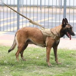 Arnês tático para cães grandes, colete de pastor alemão, coleira peitoral de estimação, treinamento ajustável em nylon para cães médios e grandes - Image 5