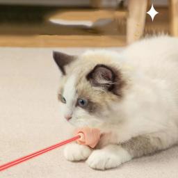 Inteligente Laser Infravermelho Cat Pen, Gato Brinquedos, Self-Entertainment, carregamento, Pet fornecimentos - Image 2