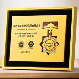 Medalha de metal personalizada para transferência de calor, decoração, medalha comemorativa, placa Nami autorizada, listando o emblema do troféu - Image 1