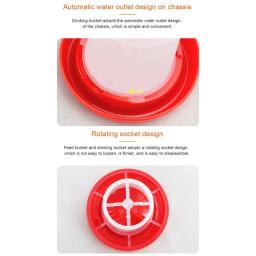 alimentador água plástico automático para aves, recipientes alimentos para galinhas, pássaros, codornas, fácil - Image 2