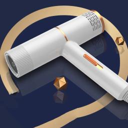 Cão grooming secador de cabelo pet gato ventilador vento quente 1000w ue plug frio ar quente com aquecedor para médio pequeno filhote de cachorro - Image 4