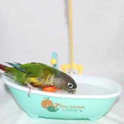 Banheira plástica azul automática para papagaio, periquito bonito, alimentador do pombo, acessórios da bacia do pássaro, material doméstico - Image 1