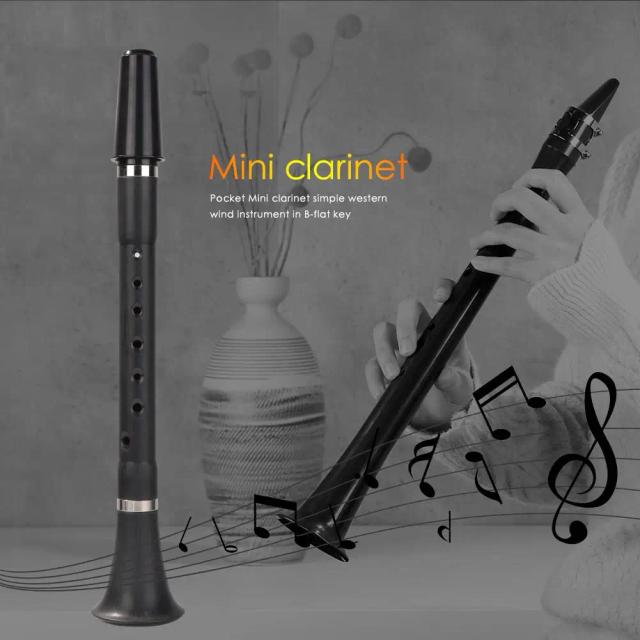 Clarinete Mini B Flat Clarionet: Excelente Opção para Iniciantes e Amantes da Música