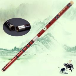 Instrumentos musicais tradicionais chineses, flauta doce profissional, bambu, flautas transversais para criança, acessórios adultos, luxo - Image 3
