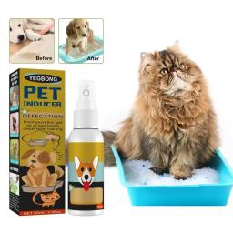 Training house for dog, training aid for puppy e pet - Image 5