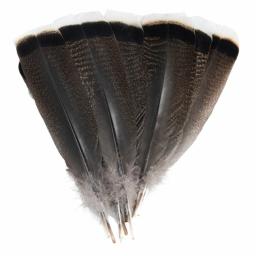 Penas naturais de peru para artesanato, performance de palco, decoração de fantasias, jóias DIY, acessórios vaso, 25-30cm, 10pcs - Image 5