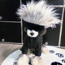 Jujutsu Kaisen Gojo Satoru Pet Eye Mask Suprimentos, Cat Cosplay Chapelaria, Decoração Do Chapéu, Headdress Foto, Peruca Do Cão - Image 3