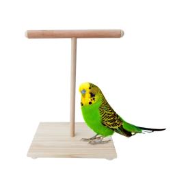 Papagaio de madeira poleiro t suporte pássaro treinamento pata moagem brinquedos pet cockatiel gaiola ninho plataforma de jogo - Image 3