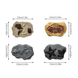 Mini Dinossauro Modelo Fóssil, Artesanato em Miniatura, Decorações Dollhouse, Dolls House Ornament, Brinquedo, Micro Paisagem, 4Pcs - Image 6