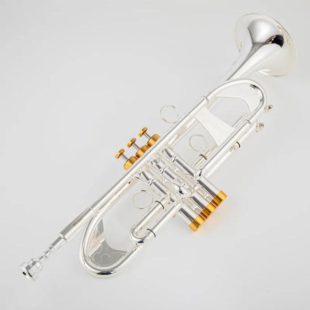 Trompete Tradivarius TR600 Banhado a Prata com Bocal - Instrumento Profissional Novo e em Alta Demanda
