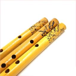 Flauta de bambu profissional para estudantes, alta qualidade, instrumentos musicais de sopro, chinês Dizi Xiao flautas verticais, 6 furos - Image 5