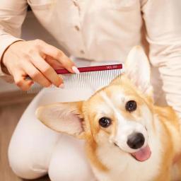 Pente dematting aço inoxidável para cães e gatos, Professional Hair Grooming Supplies, Beleza - Image 2