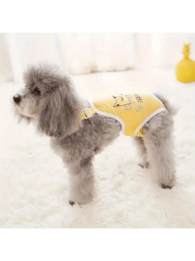 Almofadas descartáveis para cães: fraldas à prova de vazamento e alta absorção, 30 unidades ideais para filhotes e cães machos e fêmeas