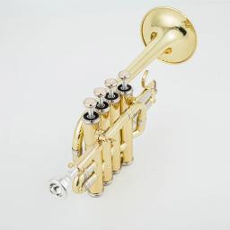 Bb Piccolo Trompete Profissional, Brass Gold Silver Lacquer Surface Trompete, Alta Qualidade Monel Piston - Image 5