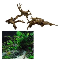 Natural Árvore Tronco Driftwood para Aquário, Decoração Do Tanque De Peixes, Ornamento De Madeira Da Planta, Acessórios Do Tanque De Peixes - Image 3