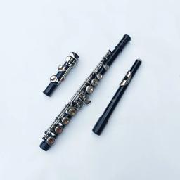 Japão 212 preto 16 buracos flauta instrumento de sopro fechado chave adicionar a chave e c tom niquelado concerto flauta com caixa de música - Image 5