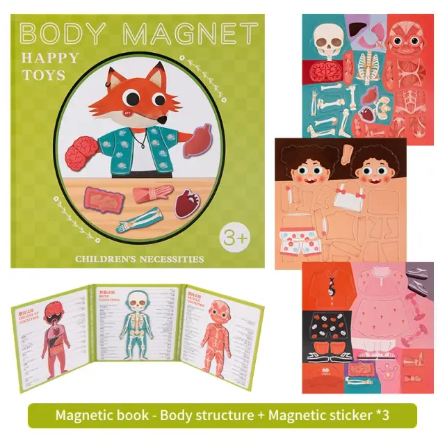 Brinquedo Interativo Magnético de Orgãos e Músculos para Crianças - Aprendizado Sensorial no Estilo Montessori