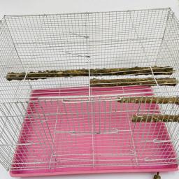 Raw Wood Stand Rack para Papagaios, Aves Acessórios Equipamento, Pet Supplies, Ramos de árvore Poleiros, Mastigar mordida Brinquedos, 10 cm, 15 cm, 20cm - Image 5