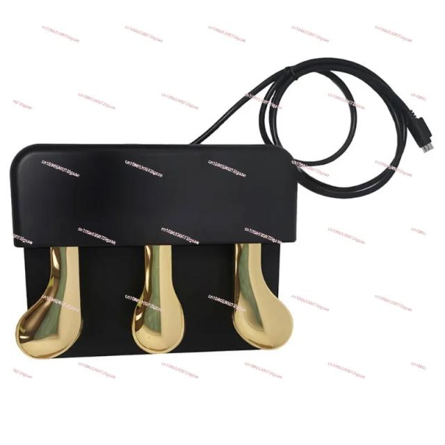 Pedal Sustentador Universal para Piano Elétrico e Sintetizadores - Acessórios com 3 Pedais Auxiliares