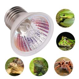 Uva + uvb 3.0 uv lâmpada para réptil, 25/50/75w, uv luz, aquecimento e controlador de temperatura, 1pc - Image 1