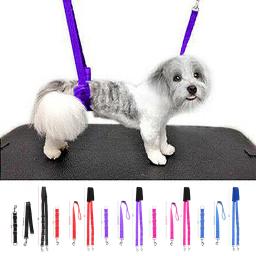 Ajustável cão grooming barriga cinta, D-anéis banho banda, tamanho livre cinto de tração, coleira, pet fornecimentos, 3pcs - Image 1