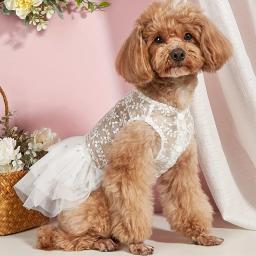 Adequado para gatos e cães, Terno de casamento, Vestido de malha, Verão - Image 2