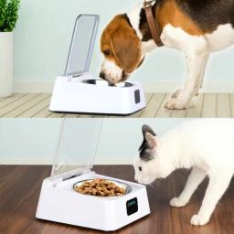 Dispositivo de alimentação automática inteligente, Pet fornecimentos, gato e cão saúde tigela, carregamento USB, interruptor de indução tampa, anti mosquito - Image 3