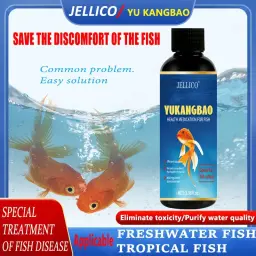 Medicação de saúde para peixes, Fin Rot Treat, Purify Aquarium, remédio seguro, controle de algas, água, 100ml - Image 1
