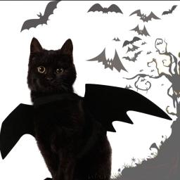 Black Bat Wings Harness Cosplay Traje para Pet, Roupas de Halloween, Festas Bonitas, Cães e Gatos - Image 4
