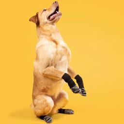 Meias para cães, garras quentes ao ar livre, sapatos antiderrapantes, aderência extra grossa, gancho e prendedor de laço, suprimentos de proteção para os pés para animais - Image 2