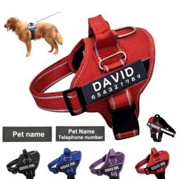 Arnês de estimação reflexivo personalizado, Arnês de cachorro personalizado Almofada de malha respirável Cães pequenos, médios, grandes, sem tração - Image 1