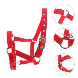 Crianças treinamento equestre ajustável engrossado cavalo halter equipamento macio webbing durável náilon versátil - Image 4