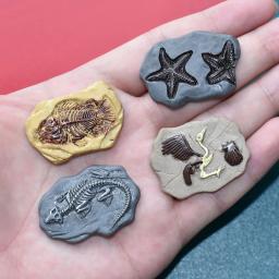 Mini Dinossauro Modelo Fóssil, Artesanato em Miniatura, Decorações Dollhouse, Dolls House Ornament, Brinquedo, Micro Paisagem, 4Pcs - Image 2