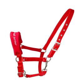 Novo halter equestre anti-desgaste ajustável cavalo halter bridle cabeça colar cinta gaiola de cavalo capa equipamento equestre - Image 2